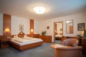维也纳弗莱格公寓的配有一张床和一把椅子的酒店客房