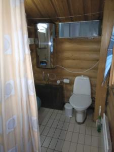萨翁林纳Holiday Cabin Kerimaa 53的一间带卫生间和淋浴帘的浴室
