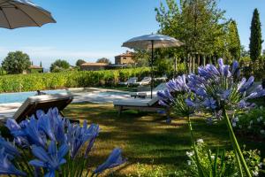 蒙塔尔奇诺Villa Le Prata - Farm House & Winery - Adults Only的一座种植了蓝色花卉的花园