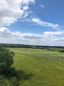 Layer MarneyRockinghams Farm的一片蓝天云的草地