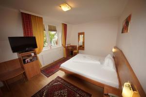 格拉茨德尔马里恩霍夫贾尼酒店的一间卧室配有一张床和一台平面电视