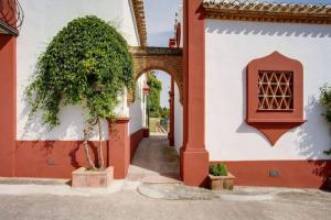 米哈斯科斯塔Finca El Altabacar - Casa Rural - Playa的庭院中一座拱门和一棵树的建筑