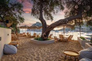 帕莱欧卡斯提撒Akrotiri Beach Resort Hotel - Adult Friendly的沙滩上,沙滩上,沙滩上,沙滩上,树上,椅子和树