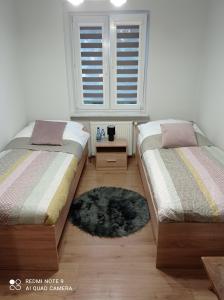 斯塔洛瓦沃拉Apartament na parterze的卧室配有两张床,地板上铺有地毯。