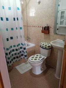 普尤瓦比港Cabañas Robinson的浴室配有卫生间、淋浴和盥洗盆。