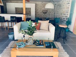 SermizellesPool house-L'hirondelle de Sermizelles- grand jardin, calme et nature aux portes du Morvan的带沙发和咖啡桌的客厅