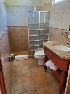 拉哈斯Turtle Bay Inn的一间带水槽、卫生间和淋浴的浴室