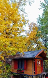塞格德Lovely vacation house at river Tisza , Hangulatos nyaraló a szegedi Tisza - Maros toroknál的小屋的后面有黄色的树木
