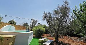 卡萨拉诺terra rossa casa di campagna con piscina的后院,有树和游泳池