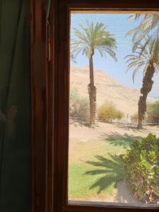 基布兹恩戈蒂הצימר של יהושע的享有棕榈树沙漠景致的窗户