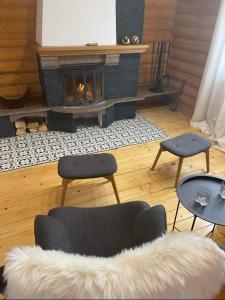 沃罗赫塔MIRA House的客厅配有两把椅子和壁炉