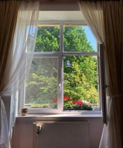 布达佩斯Eliz Apartment的窗户享有鲜花和树木的景致。