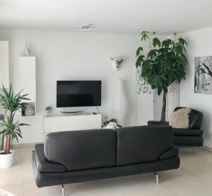 腓特烈港Seestern Apartment的客厅配有黑色沙发和电视