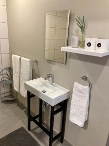 布隆方丹Tidor Garden Cottage的浴室配有盥洗盆、镜子和毛巾