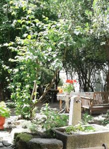 AntraiguesLe Boustrophédon的一个带木凳和树的花园