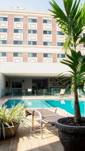 波多韦柳金座大酒店 的一座带游泳池和棕榈树的大型建筑