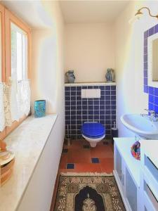布拉嫩堡Im Inntal Dahoam的浴室设有蓝色的卫生间和水槽。