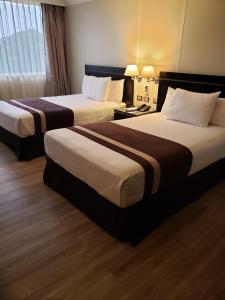 拉塞雷纳地亚哥阿尔马格罗拉塞雷纳酒店的一间酒店客房,房间内设有两张床