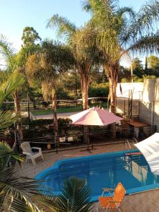 科隆Vista al Golf的一个带遮阳伞和椅子的游泳池以及树木