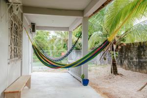 蓬塔戈尔达Wanigi Guesthouse的棕榈树门廊上的吊床