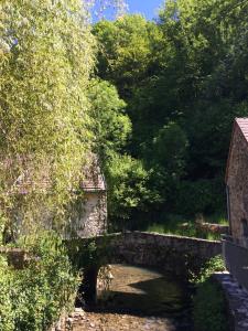 GiziaLes Billardes - le gite - Jura的一条老石桥,横跨河上树木