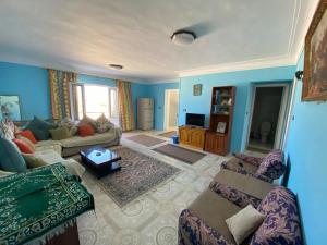亚历山大Blue House的客厅设有蓝色的墙壁和沙发。