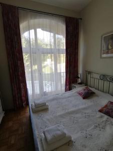 罗加斯卡斯拉提纳Vila Rogashka One Bedroom Apartment的一间卧室设有一张床和一个大窗户