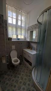 罗加斯卡斯拉提纳Vila Rogashka One Bedroom Apartment的浴室配有卫生间、盥洗盆和淋浴。