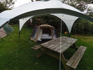 CornwerdBasic 2p tent Sotterum的草上的一个帐篷和一张野餐桌