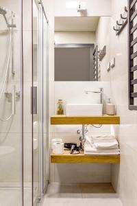 奥斯威辛H&G Boutique Apartments的一间带水槽和淋浴的浴室