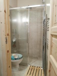 瓦拉泽Itaca的浴室设有玻璃淋浴间和卫生间