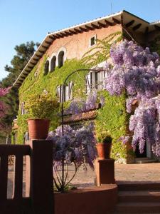 巴尔罗马内斯拉玛西亚韦斯达艾尔摩酒店的一座在前面布满紫色花的建筑