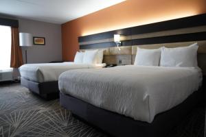 布兰森小瀑布酒店的酒店的客房 - 带2张带白色枕头的床