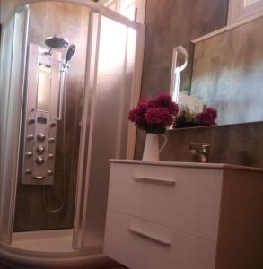 索尔波Casa do Bouza Vello的带淋浴和盥洗盆的浴室
