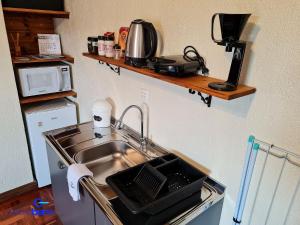 新彼得罗波利斯Studio Home Office - Nova Petrópolis的厨房柜台设有水槽和微波炉