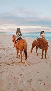 拉巴拉德纳圣米格尔Rancho da Doris的两名妇女在海滩上骑马