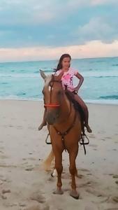 拉巴拉德纳圣米格尔Rancho da Doris的一名在海滩上骑马的年轻女孩