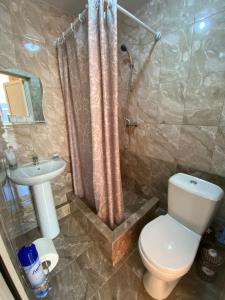 阿德勒Студии в Олимпийском парке的浴室配有卫生间、盥洗盆和淋浴。