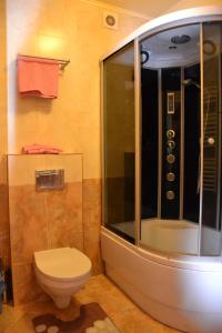 KholmokKruiz Motel的带淋浴和卫生间的浴室
