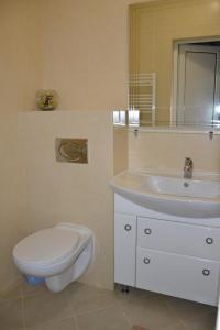 KholmokKruiz Motel的白色的浴室设有卫生间和水槽。