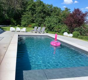 巴尔沃Plein la vue的一座房子前面的游泳池,上面有粉红色
