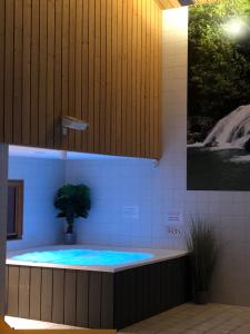 梅塔比耶Etoile des Neiges Piscine Spa Sauna的浴室设有1个带盆栽植物的热水浴池