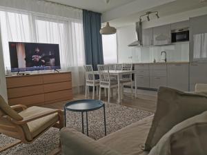 克莱佩达34 floor at the top of the Baltic的带沙发和桌子的客厅以及厨房。