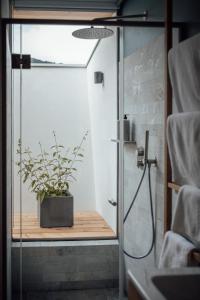 维皮泰诺Haus am Turm的一间带淋浴的浴室,配有盆栽植物