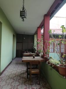 科恰班巴ALSIGAL COCHABAMBA Casa de Huéspedes的一间设有桌子和一些盆栽植物的房间