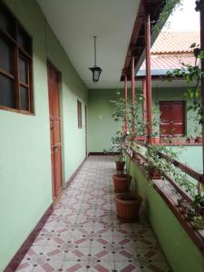 科恰班巴ALSIGAL COCHABAMBA Casa de Huéspedes的一座有盆栽植物的房子的空走廊