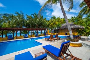 蓬塔米塔Hotel Meson de Mita的度假村的游泳池,配有椅子和棕榈树