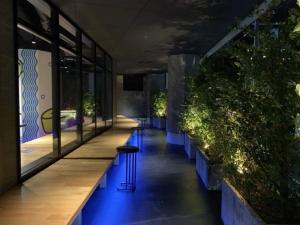 京都HOTEL TAVINOS Kyoto的绿树成荫的建筑里,有蓝色灯的走廊