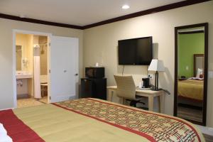 奥克兰奥克兰帝国酒店的酒店客房配有一张床、一张书桌和一台电视。