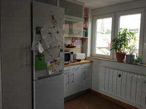 拉科鲁尼亚Millennium的厨房配有白色冰箱和窗户。